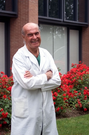 prof veronesi ieo prof veronesi ieo